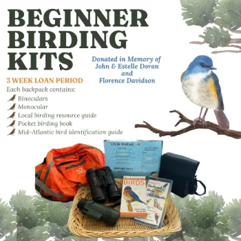 Beginner Birding Kit